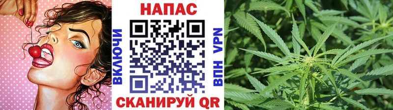 Бошки марихуана Amnesia  маркетплейс состав  Звенигово  купить наркотик 